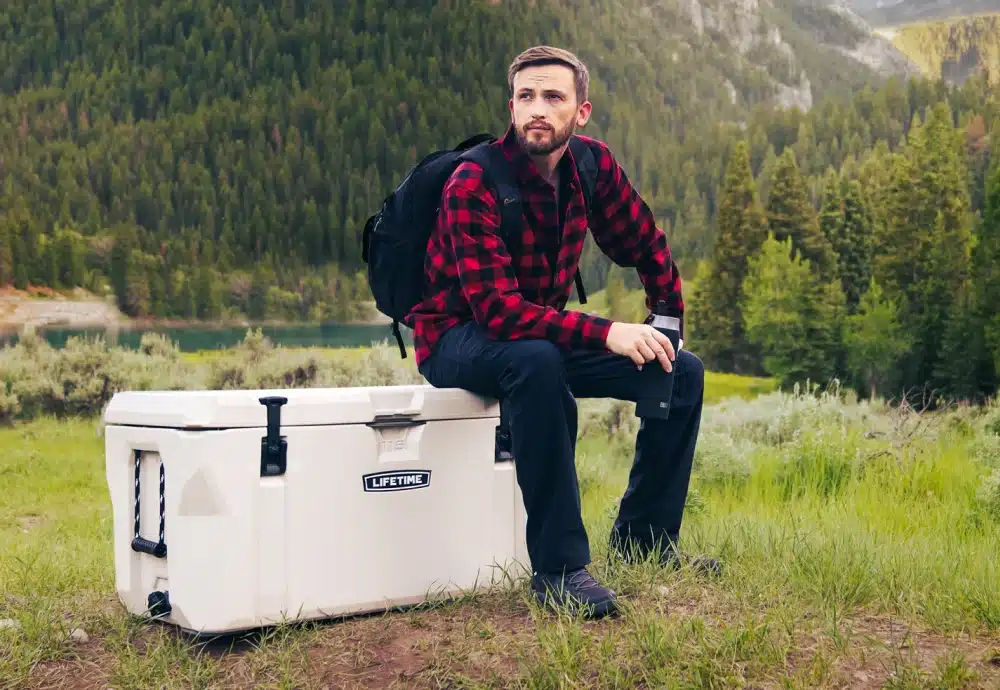 portable car cooler box