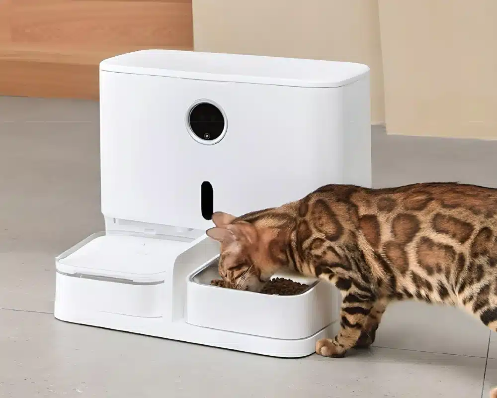 top rated automatic pet feeder