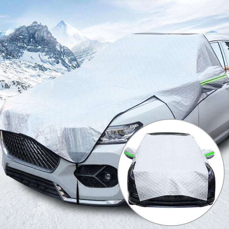 Winter Car Protection